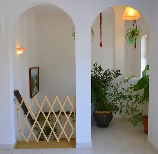 ゲストハウス Belinha -