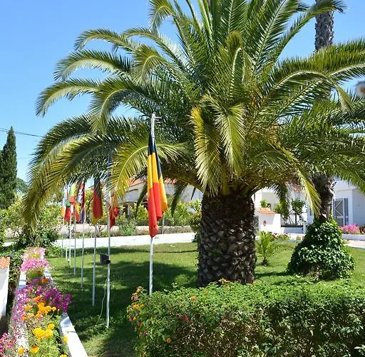 Belinha - 2* クアルテイラ